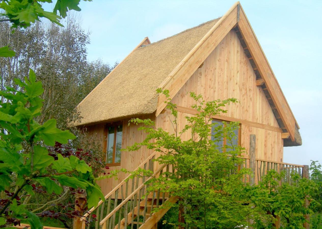 Chambres D'Hotes Le Nid D'Iroise Lanildut エクステリア 写真