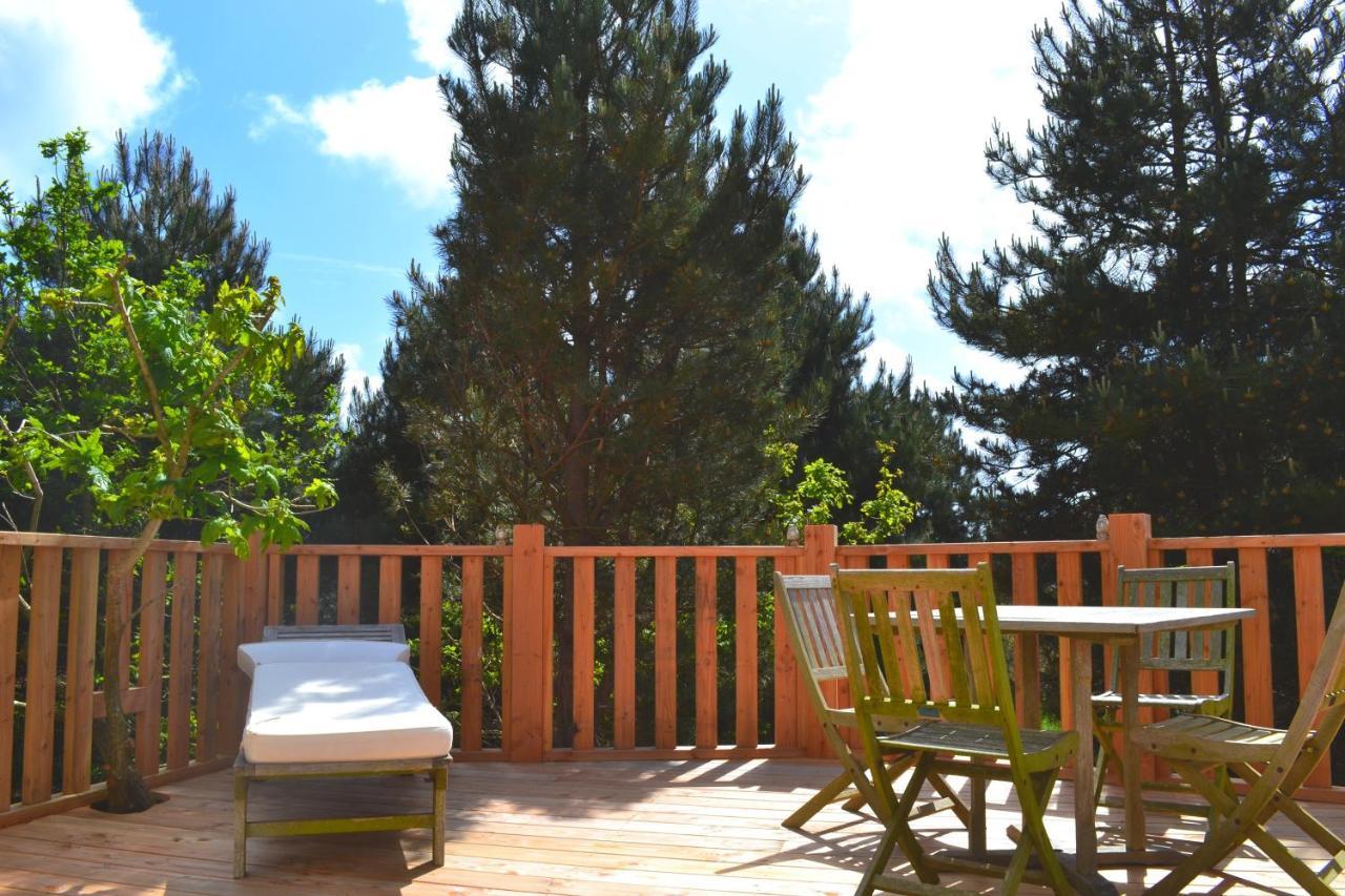 Chambres D'Hotes Le Nid D'Iroise Lanildut 部屋 写真